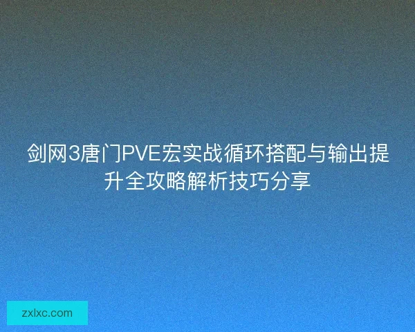 剑网3唐门PVE宏实战循环搭配与输出提升全攻略解析技巧分享