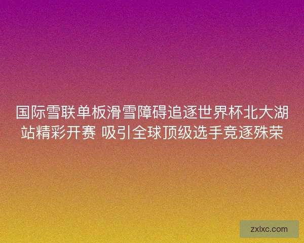 国际雪联单板滑雪障碍追逐世界杯北大湖站精彩开赛 吸引全球顶级选手竞逐殊荣
