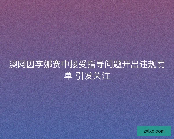 澳网因李娜赛中接受指导问题开出违规罚单 引发关注